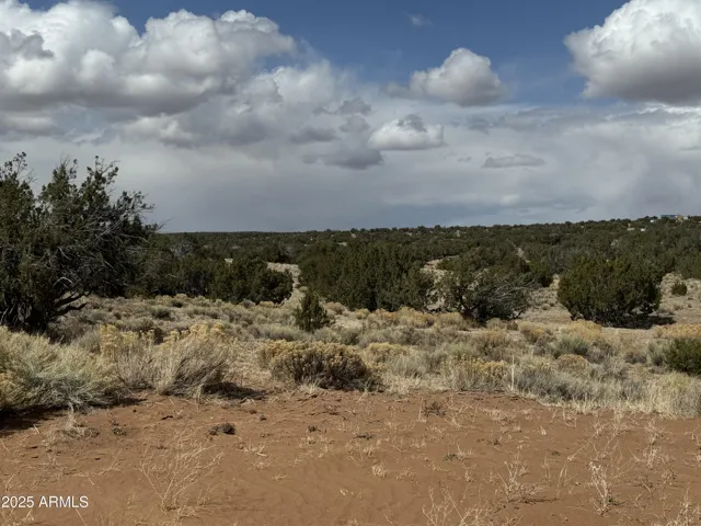 780
