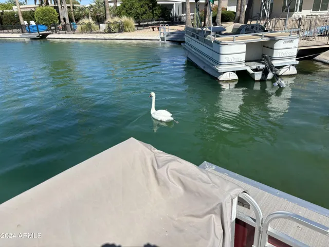 780