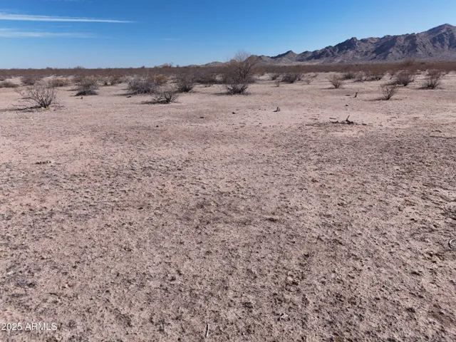 780