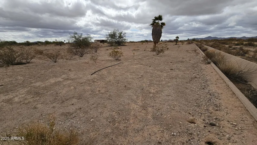 780