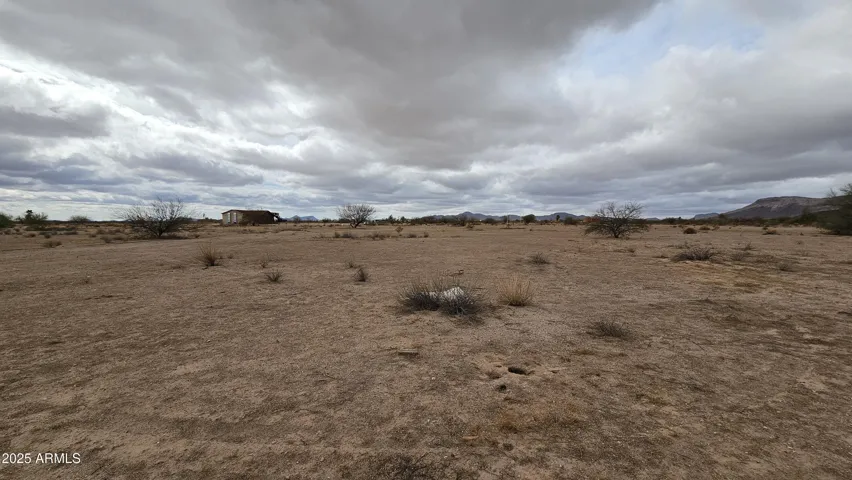 780