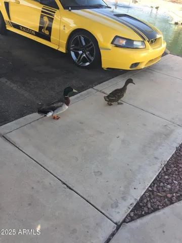 780