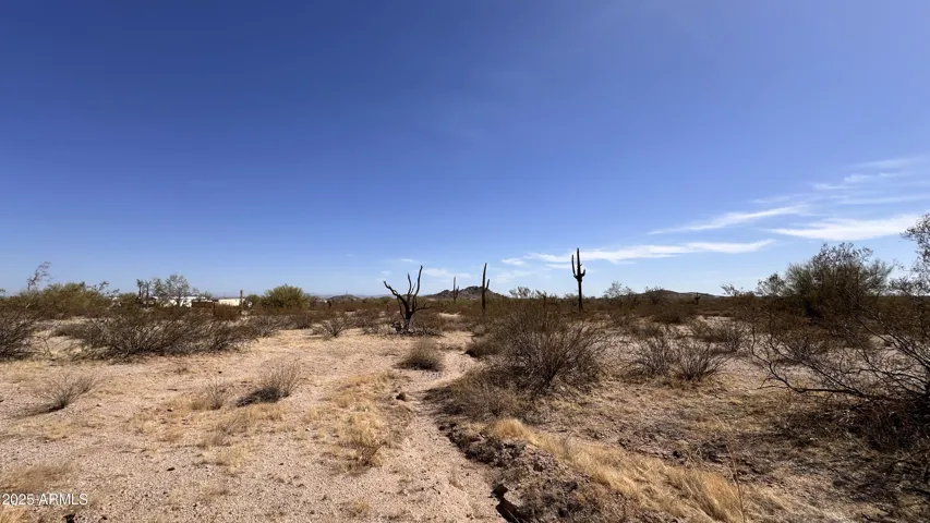 780