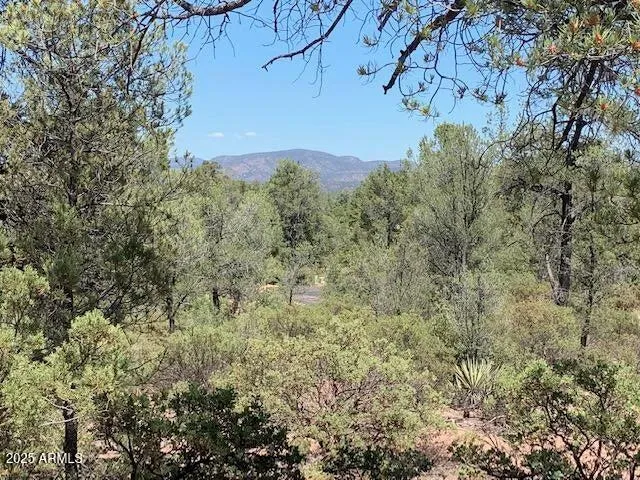 780