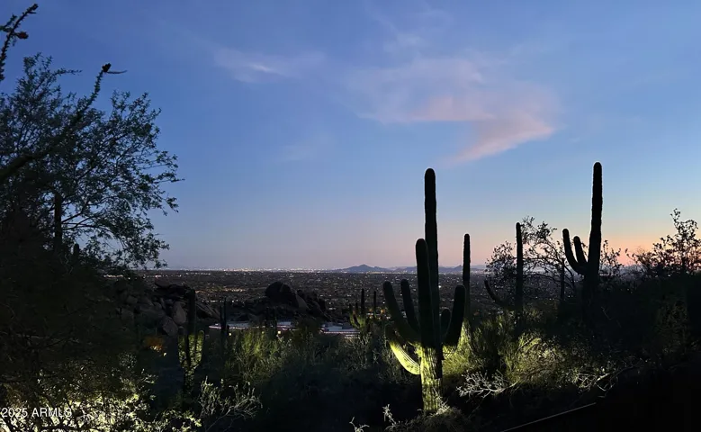 780