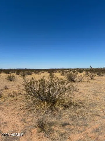 780