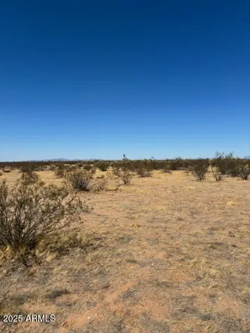 780