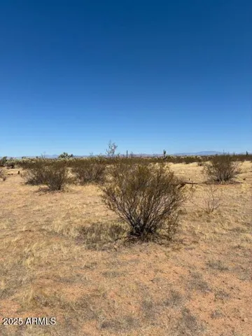 780