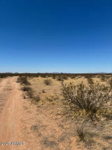 780