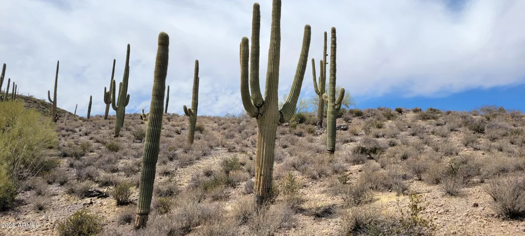 780