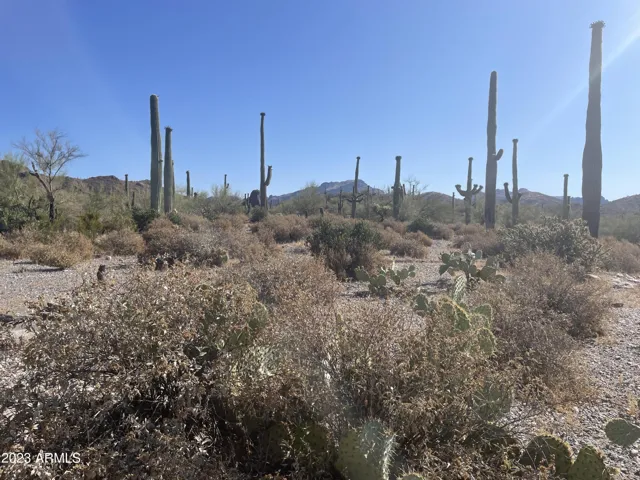 780