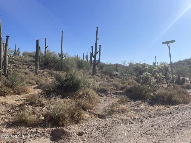 780