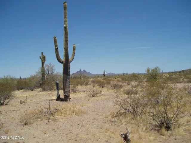 780