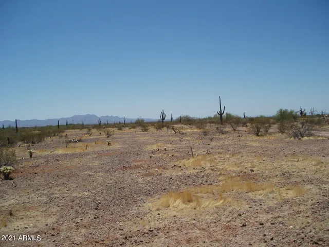 780