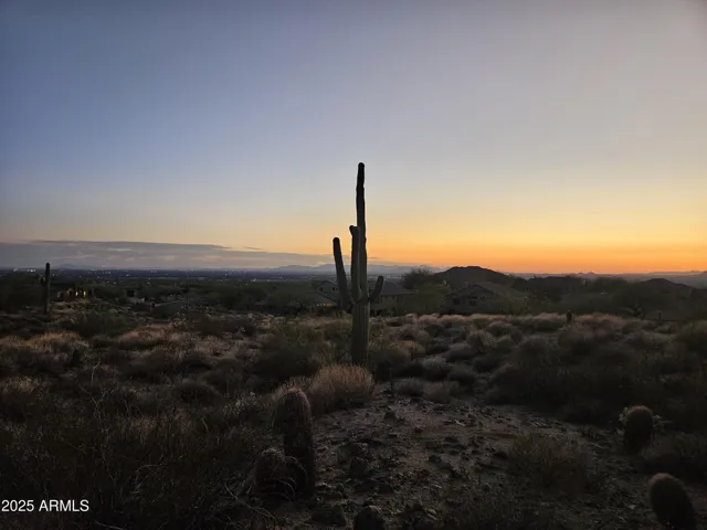 780