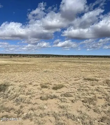 780