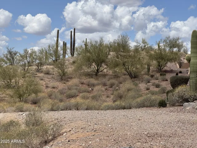 780