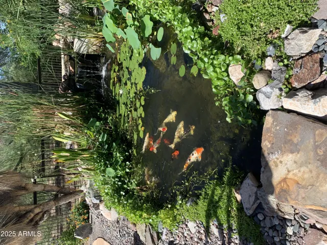 780