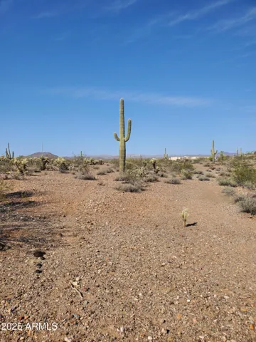780