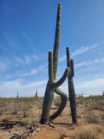 780