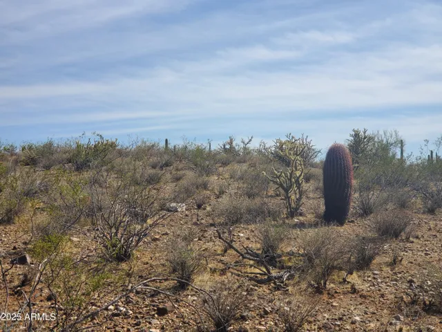780