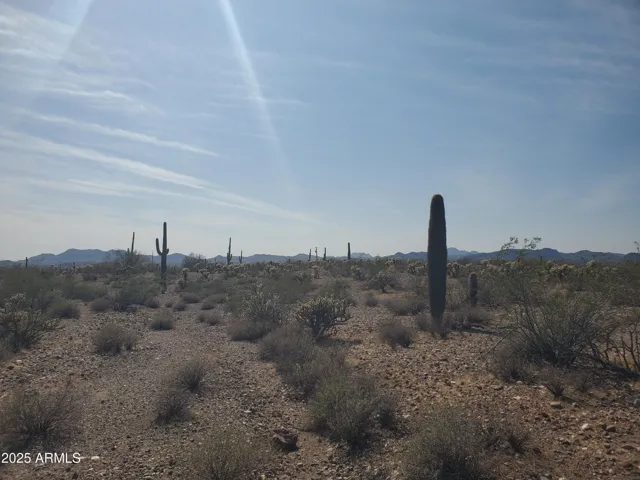 780