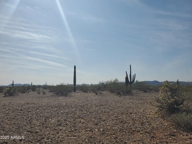 780
