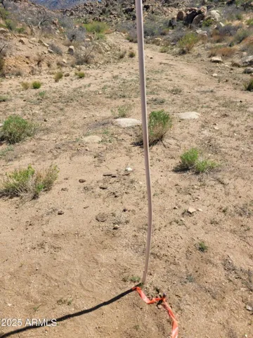 780