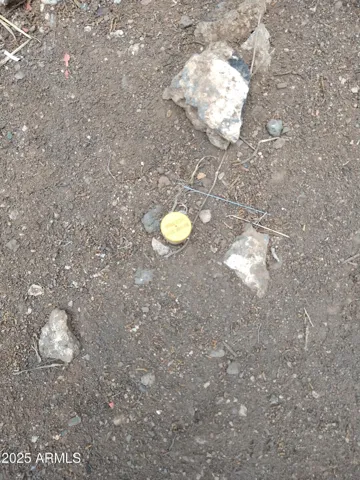 780