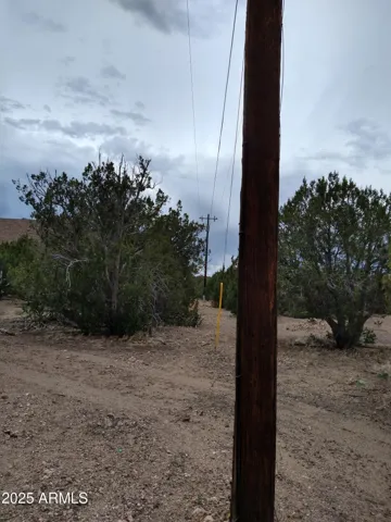 780
