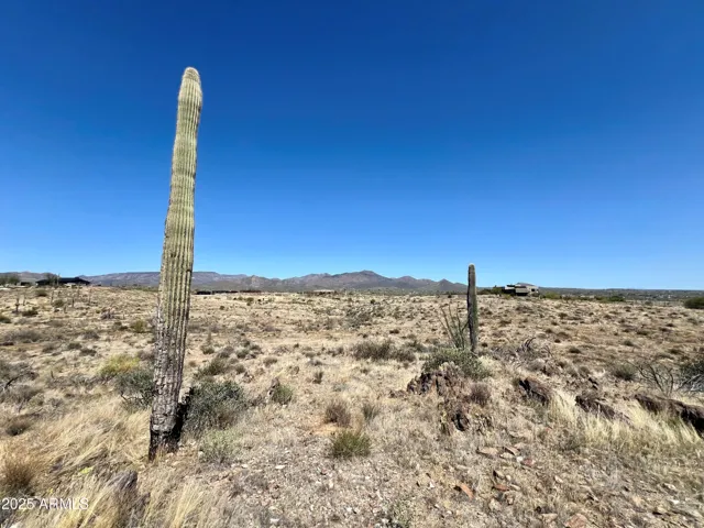 780