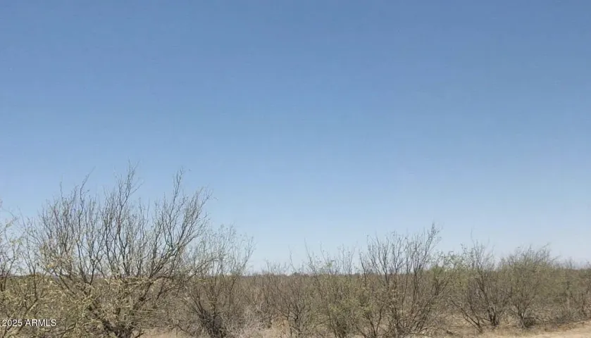 780