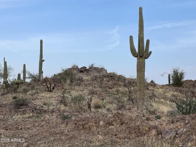 780
