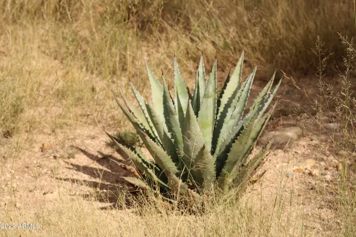 780