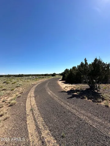 780