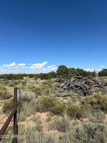 780