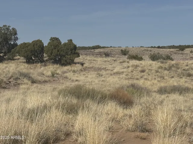 780