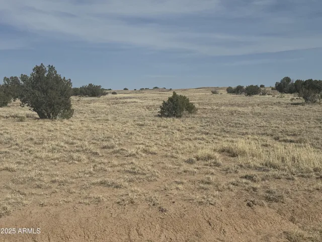 780
