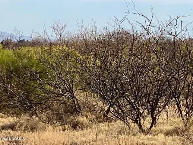 780