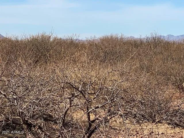 780