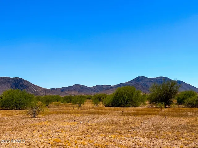 780