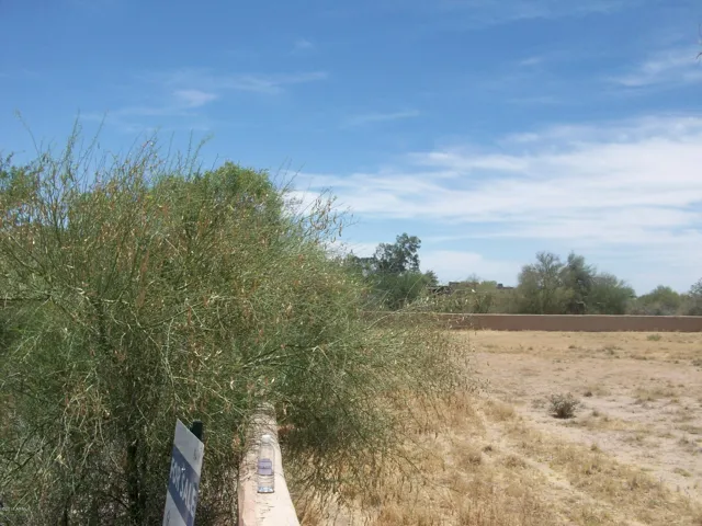 780