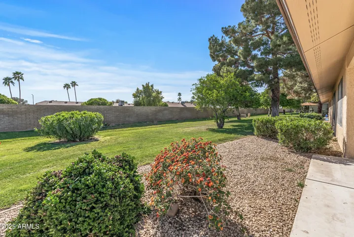 Privacy galore w/no back neighbors.