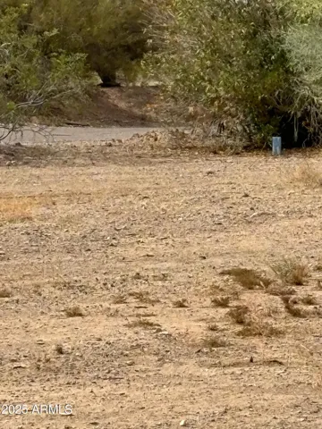 780