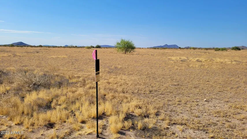 780