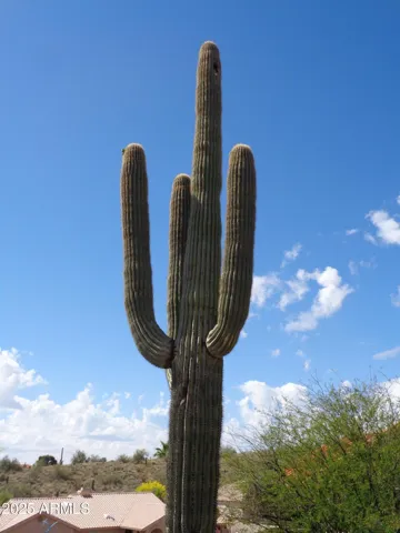 780