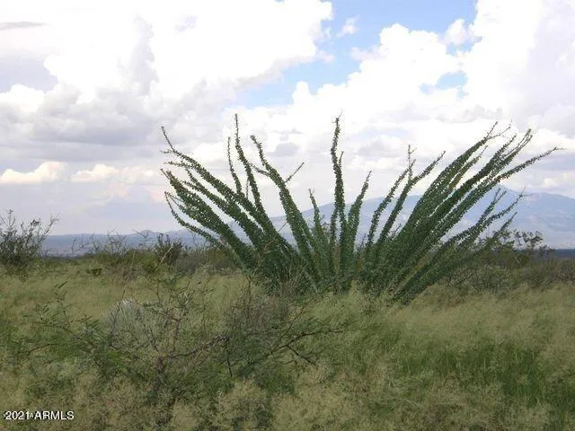 780