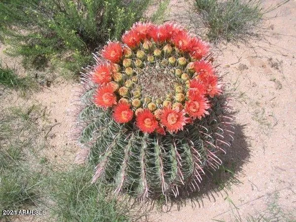 780