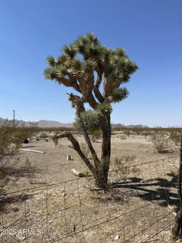 780
