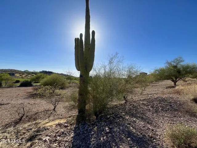780